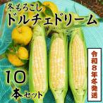 先行受付 朝採り 冬もろこし ドルチェドリーム 10本以上