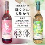 ほくとの大地から キャンベル アーリー赤とナイアガラ白の…