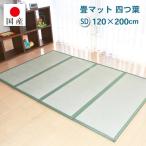 畳マット 四つ葉 サイズ:セミダブル