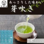 さざの有機栽培茶 芽吹き 100g×3本