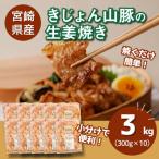 産豚肉の生姜焼き 小分け 3kg