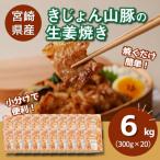 産若鶏の生姜焼き 小分け 6kg