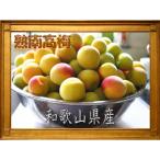 3Lまたは2L-約10Kg 熟南高梅 秀優混合