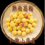 2LまたはL-約10Kg 熟南高梅 秀優混合
