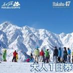 エイブル白馬五竜&Hakuba47スキー場共通リフト券
