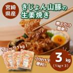 産若鶏の生姜焼き3kg 1kg×3P