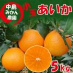 中島みかん農園 愛果28号 小玉 5kg
