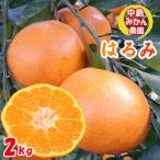 ふるさと納税 松山市 中島みかん農園 はるみ 小玉 2kg