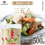 パパっと発酵 こうじ漬けの素 500g×2袋