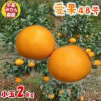 中島みかん農園 愛果48号 小玉 2kg