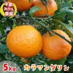 カラマンダリン 5kg