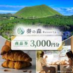 奏の森Resortsのカルムでも使える商品券3,000円分