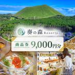 奏の森Resortsのカナデノマルシェでも使える商品券9,000円…
