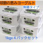 球磨の恵みヨーグルト 無糖 4kg