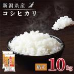 コシヒカリ 10kg