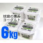 球磨の恵みヨーグルト 無糖 6kg