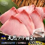 天然 地物 ひるがの寒ぶり 柵3本 寒鰤
