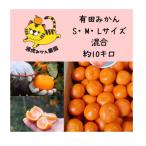 きれいな温州みかん 寄贈用にお勧め S~L混合