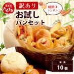 パン屋直送 お試しパンセット 10個