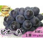 訳あり品フルーツ王国岡山のぶどう ピオーネ1房500g以上