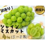 ふるさと納税 津山市 【2026年先行受付】訳あり岡山県産シャインマスカット4kg