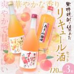 黒糖焼酎仕込み リキュール酒セット すもも酒
