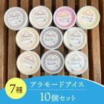 ふるさと納税 五泉市 アラモードアイス 10個セット
