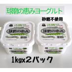 球磨の恵みヨーグルト 無糖 2kg