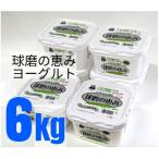 球磨の恵みヨーグルト 無糖 6kg