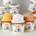 ふるさと納税 和歌山市 【卵、香料不使用】ココナッツジェラート食べ比べ8個セット