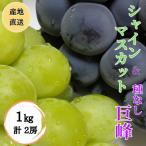 ふるさと納税 甲州市 ◆2025年先行受付◆産地直送!人気のシャインマスカット&巨峰 2種食べ比べ 1kg(計2房)