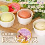 日本一の特産品を使った極上アイス 3種類×2個 合計6個