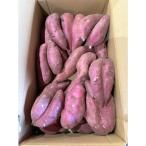 ふるさと納税 行方市 【訳あり】「行方かんしょ」さつまいも約5kg・C品(洗い・不揃い)