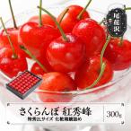 ふるさと納税 尾花沢市 先行受付 さくらんぼ 紅秀峰 特秀2Lサイズ 300g 化粧箱鏡詰め 2025年産 山形県産