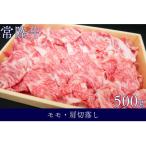 銘柄黒毛和牛常陸牛モモ 肩切落し約500g