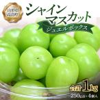 ふるさと納税 高畠町 【先行予約】令和7年産シャインマスカットジュエルボックス1kg(250g詰×4個入)