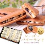 ふるさと納税 周南市 レーズンバターサンド 15個入