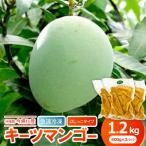 ショッピングふるさと納税 マンゴー ふるさと納税 今帰仁村 急速冷凍・はしっこタイプ　今帰仁産のキーツマンゴー1.2kg(400g×3P)