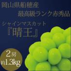 厳選シャインマスカット 約1.3kg