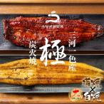 ふるさと納税 西尾市 【8月限定!特別提供】三河一色産うなぎ白焼き大1尾蒲焼大1尾(280g以上)・R005_c1