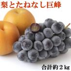 たねなし巨峰と梨 品種おまかせのセット