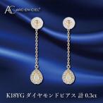 ARC-EN-CIEL PTダイヤピアス