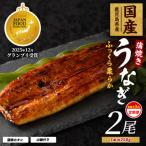 うなぎ 蒲焼 じっくり焼き約250g×2尾