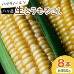 ふるさと納税 茅野市 【先行予約】八ヶ岳生とうもろこし 約350g×8本 〈2025年7月下旬〜9月下旬発送予定〉