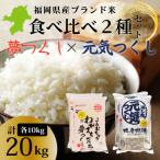 産米 夢つくし10kg 5kgx2袋 精米