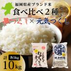 令和7年産 産ブランド米 元気つくし 白米5kg