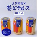 三河野菜の葵ピクルス あいちの家康酢漬