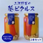 三河野菜の葵ピクルス あいちの家康酢漬