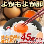 fu.... налог столица замок город ..... яйцо 45 шт (+ повреждение возмещение 5 штук )