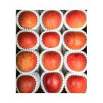 ふるさと納税 岩泉町 岩手県岩泉町産りんご サンふじ(5キロ_約12個)